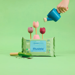 Diapers and wet wipes